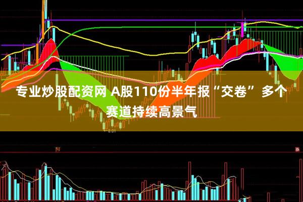专业炒股配资网 A股110份半年报“交卷” 多个赛道持续高景气